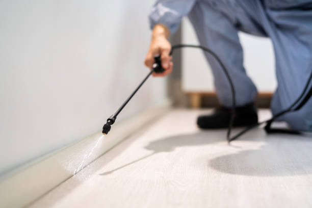 Certified termite inspector examining foundation in Clymer